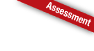 Assessment