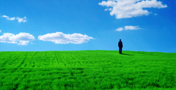the grossman group, ethoughtstarters, leadership communication, workplace email, vacation