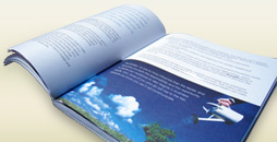 Preview the Book