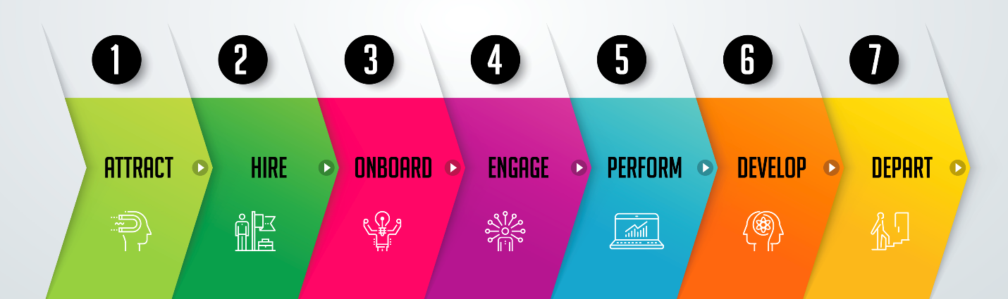 Employee life cycle stages