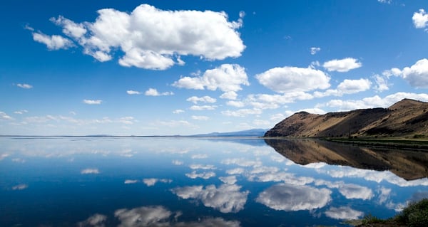 Reflections-as-we-head-into-2021-The-Grossman-Group