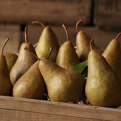 golden-bosc-pears_4.jpg